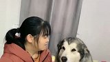 洛洛想吃香肠腊肉，奶奶却不给它做，洛洛居然这样撒娇