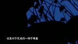千年古墓中发现现代事物，还有一个盗墓贼，真相究竟如何