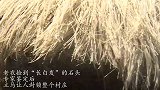 老农捡到“长白发”的石头，专家鉴定后，立马让人封锁整个村庄