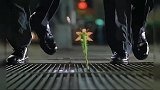 路边的野花不要采，惊喜和意外哪个先到来