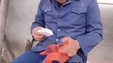 现在还没复工，你得省着点花