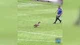 从未见过如此变向！瞬间180度1过2 英乙赛场被鹅统治了