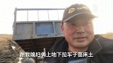 农民王小：发现野草大口吃刚勾起回忆，车却遭殃了，天黑才回家