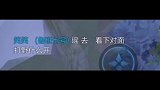 我是国服鲁班！就女的王者