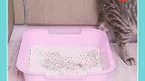 生活小妙招来了，看完视频的你学会了吗？快去试试吧