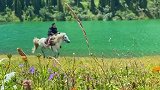 仙女湖骑白马的王子好像没有，骑白马的沙笛有一个