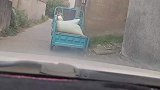 小伙开车狭路偶遇三轮车，主动下车帮老人搬稻谷