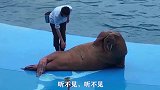 不是真诚得道歉就回去啊，这么多人看着别搞虚的