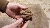 一颗核桃能盘成什么？这想法真是脑洞大开