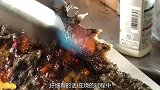 牛人处理“剧毒”丑鱼，用火直接烧“毒刺”，细看这操作够虎的！