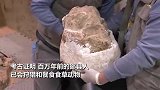 距今百万年！直击“郧县人”3号头骨化石提取现场