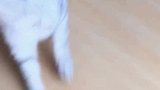 一点面子都不给我留