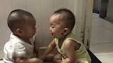 两个宝宝初次见面就毫不客气，迅速上演对抢大战，大人看的好开心