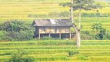 某年夏天，一间老屋，几亩梯田