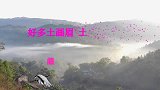 好多白颊噪鹛土画眉，在树上地下飞来飞去的，土画眉叫声