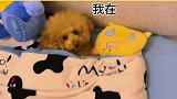 吃夜宵当然要偷偷关起门来吃呀哈哈