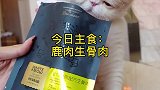 带你们看看我家吞金兽的日常营养餐～
