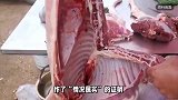 农民卖未检疫羊肉获利180元被罚10万，当地称其是个体户，干了20多年