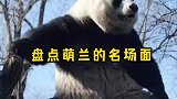 萌兰倒立比心太会了