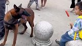 别人家孩子有的，咱也得安排上