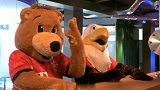 本菲卡官方发布视频欢迎拜仁熊 两只吉祥物手拉手诠释友谊第一
