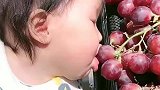 我去隔壁偷个葡萄吃，这宝宝真是太逗了