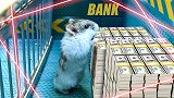 小仓鼠VS银行地下金库，面对重重机关，一路上演机智逃生！