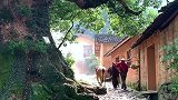 宁静的山里生活