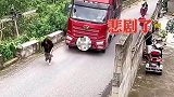 拦车遇硬茬，结果悲剧了