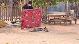 几位不干人事的人类，虽然我不是人，但你是真的狗啊！