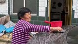 外婆觉得车子脏，用钢丝球帮忙洗车