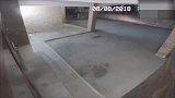 这就是猪队友吧，如果有这样的队友，我选择死亡