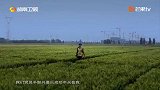 #中国官箴第二季 #从名节观中见初心本色 张伯行“取一文，我为人不值一文”的官箴名论，在新时代转化为“干大事、创大业”的积极动能