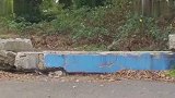 贼头贼脑的小浣熊们上演真实版打地鼠游戏，太逗了