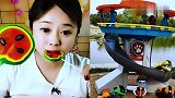 美女直播吃西瓜棒棒糖，看着真过瘾，是我向往的生活