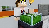 Minecraft动画《怪物冒险记》，同学们来到奇幻世界！