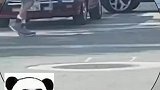 这位大爷在遛一种非常新奇的宠物