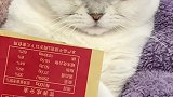 眼里逐渐泛起泪光