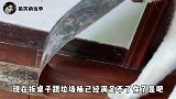 拆垃圾桶已经满足不了我家狗子了，现在已经开始研究地板了