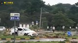 爆笑：这么嚣张的鹦鹉橘猫还是第一次见，必须教训一下