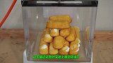 鞭炮能在真空环境下点燃吗？小伙大胆测试，结果出乎意料！