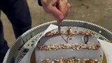 冰淇淋蛋糕，放冰箱冻太硬，男子用菜刀配小刀硬敲