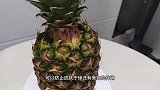 菠萝蘸酱油真的好吃吗？莫尼酱测评菠萝的终极吃法！