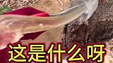这是做什么的？