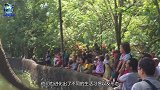渔民捕到中国最大淡水鱼，重量达上千斤，专家赶到后脸色大变