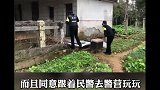 德牧：流浪狗咬人，请求击杀。警察却与流浪狗欢快地交流