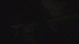 游乐园《最终幻想15》最新预告