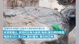 村庄修路挖出大石龟网友猜测有大墓，沁阳文物局：上世纪埋的