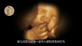 宝宝在肚子里有这3种表现，出生以后更聪明，你家宝宝有吗