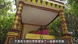 美女荒野建造豪华宫殿，就地取材不费一砖一瓦，看完服了！